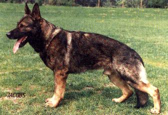 Fero von Zeuterner Himmelreich
