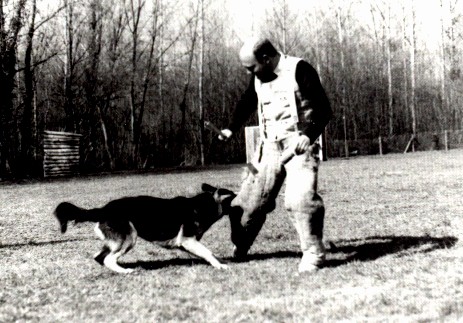 Navina von Driland